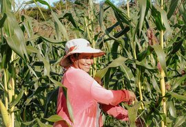 Governo abre edital para interessados no Programa de Aquisição de Alimentos (PAA)