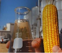 Futuro do agro no Nordeste passa pelos biocombustíveis, com foco no etanol de milho