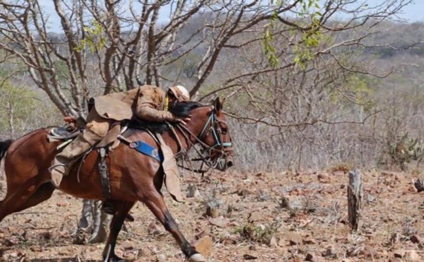 Parque da Pecuária reúne profissionais da roça no 2° Encontro de Vaqueiros e Gerentes de Fazendas