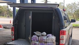 Polícia Civil apreende mais de 30 kg de drogas em ônibus interestadual