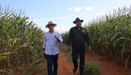Unicafes-AL realiza visita técnica à primeira cooperativa de milho do estado de Alagoas