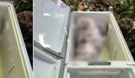 Acusado de matar sogra e ocultar corpo em geladeira será julgado em outubro em Maceió