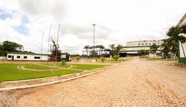 No Mês do Meio Ambiente, cooperativa planta 2 mil mudas de reflorestamento no Vale do Satuba