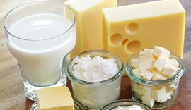Exportação de produtos lácteos tem redução de 14% em julho