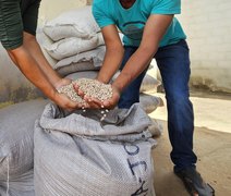 Emater atende 9 mil agricultores familiares no primeiro semestre de 2025