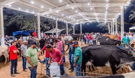 Pão de Açúcar realiza primeira Expoçúcar com torneios, palestras e valorização da agricultura familiar