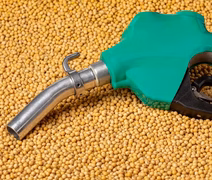 Demanda de biodiesel no Brasil deve crescer 2,7% com nova mistura obrigatória