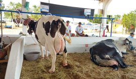 Retomada da Expo Bacia Leiteira é conquista para o setor