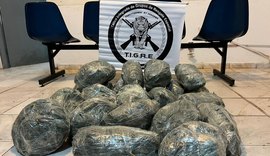 Polícia apreende mais de 20 kg de maconha em Maceió