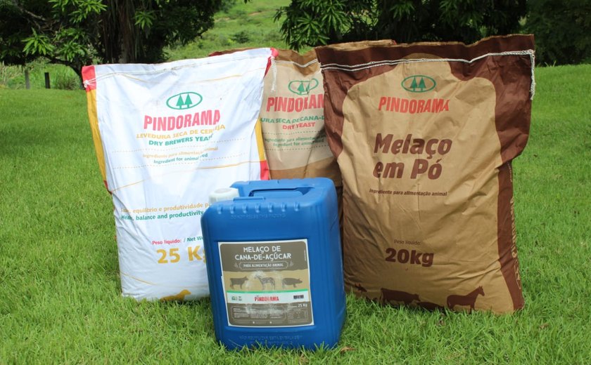 Pindorama amplia mix de produtos da cana