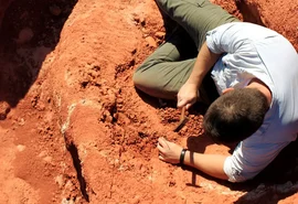 Fóssil descoberto no Brasil lança luz sobre origem dos dinossauros