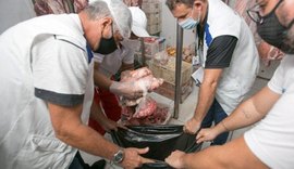Vigilância interdita frigorífico e apreende 1.782 kg de carnes impróprias para consumo