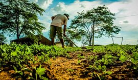 Garantia-Safra libera pagamento para 60 mil agricultores familiares