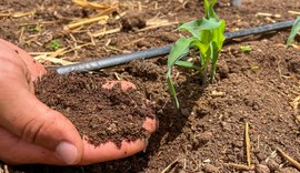 Alagoas foi primeiro estado do Nordeste a lançar Plano de Agricultura de Baixo Carbono