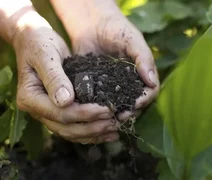 Agricultores priorizam redução de endividamento na safra 2025/26