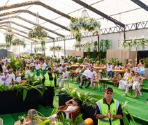 Eventos repensam práticas sustentáveis para reduzir impacto ambiental na virada do ano
