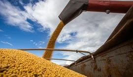 Tarifas ameaçam contratos e receita de exportadores do agro brasileiro