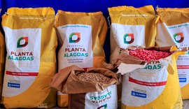Planta Alagoas já atendeu mais de 35 mil agricultores familiares com entrega de cerca de 500 toneladas de sementes