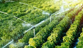 Programa facilitará acesso de agricultores a crédito fundiário