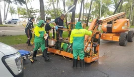 Trabalhador fica ferido após equipamento despencar durante poda, na Ponta Verde