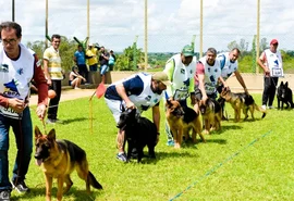Arapiraca será palco nordestino da 10ª Exposição de Criação de Pastores Alemães