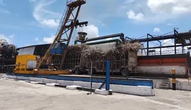 Usina Santo Antônio inicia safra 25/26 com previsão de crescimento