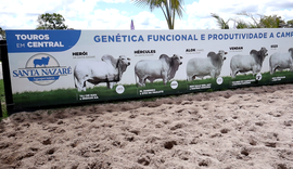 Leilão de Excelência Santa Nazaré promete movimentar o mercado de genética bovina em Alagoas