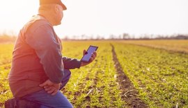 Aplicativo Stat Rural melhora a produção agrícola