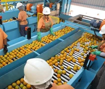 Empresas afetadas por tarifaço podem pedir crédito do Brasil Soberano