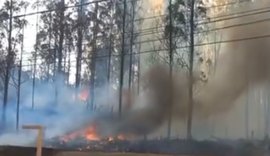 Avião cai em Piracicaba e tripulação não sobrevive