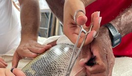 Centro de Aquicultura da Codevasf em Alagoas contribui para formação de pessoal qualificado
