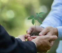 Relatório de Sustentabilidade de cooperativa financeira reforça compromisso com o desenvolvimento sustentável