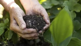 Agricultores priorizam redução de endividamento na safra 2025/26