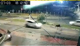 Vídeo: cavalo é atingido por carro e arremessado na Avenida Josefa de Melo