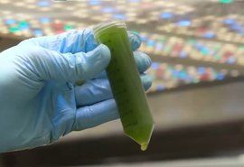 Solução reduz perdas na produção de etanol