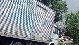 Caminhão derruba árvore depois de perder o controle na Av. Durval de Góes Monteiro