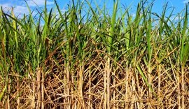 ATR de maio tem crescimento de 3% face abril