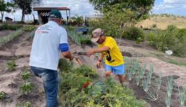 Inscrições para cursos gratuitos de produção de hortaliças e criação de peixe estão abertas em Penedo