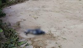 Ossada humana é encontrada em São Miguel dos Milagres e passa por processo de identificação