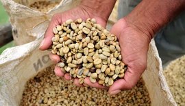 Tarifas de Trump devem encarecer café, carne e outros produtos brasileiros nos EUA
