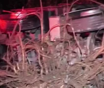 Caminhão tomba e derruba árvore em trecho da BR-101 em Colônia Leopoldina