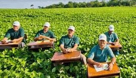 Programa que capacita pequenos produtores realiza treinamento online