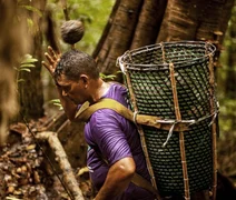 Modelo cooperativo mostra como crescer preservando a biodiversidade