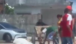 Imagens de maus-tratos a cavalo em Maceió viralizam e geram investigação