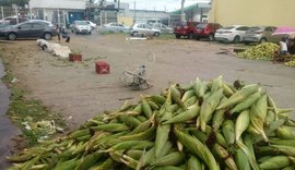 Secretaria define local para venda de milho no Jacintinho; confira