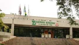 Butantan se prepara para testar vacina contra gripe aviária em humanos