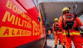 Ataque de abelhas mobiliza militares no Colégio Tiradentes, em Maceió
