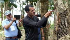 Cooperativas lideram discussões sobre desenvolvimento sustentável na jornada até a COP30