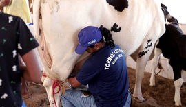 Expo Bacia Leiteira 2025: premiações de Torneio Leiteiro da Agricultura Familiar chegam a R$ 55 mil
