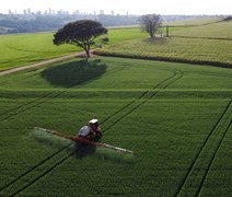 Receita com exportação do agronegócio do Brasil cresce 1,5% em agosto, diz ministério